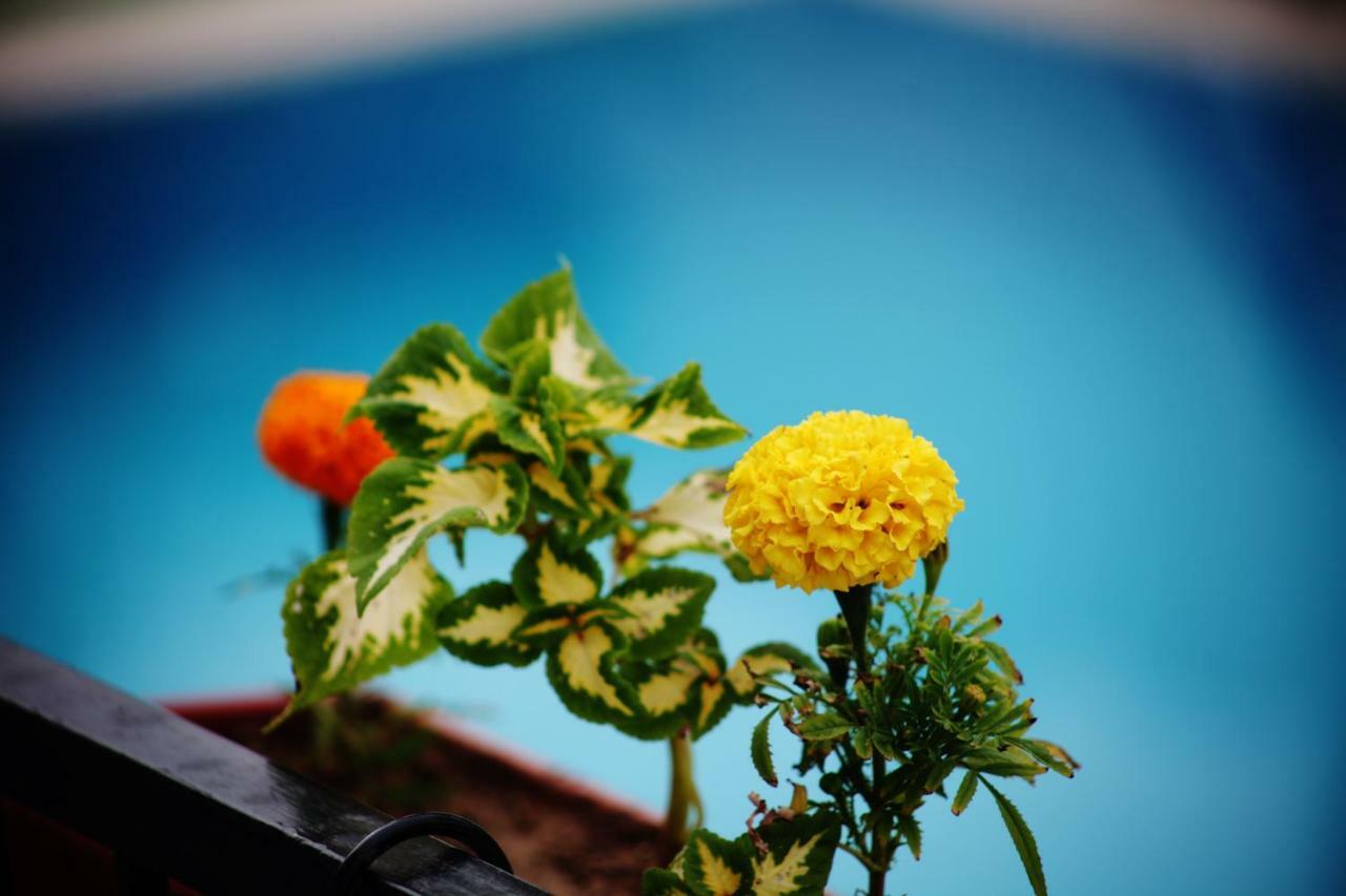 Can Otel Bodrum Esterno foto